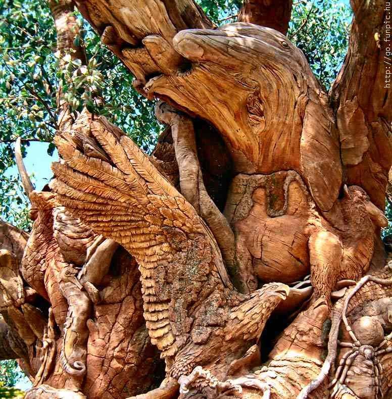 Люди живущие на деревьях. Интересные деревья. Скульптуры из живых деревьев. Необыкновенные деревья. Удивительные фигуры из дерева.
